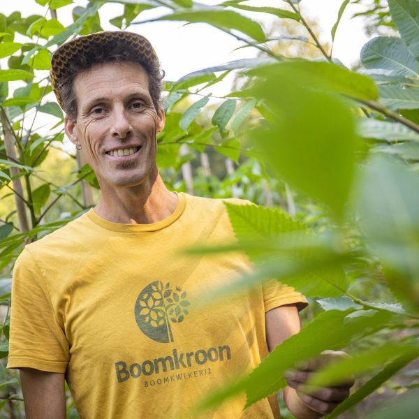Beeld: kwekerij Boomkroon