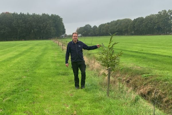 Tjeerd Rinsema - kopie